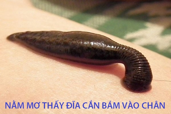 nam_mo_thay_dia_bam_chan